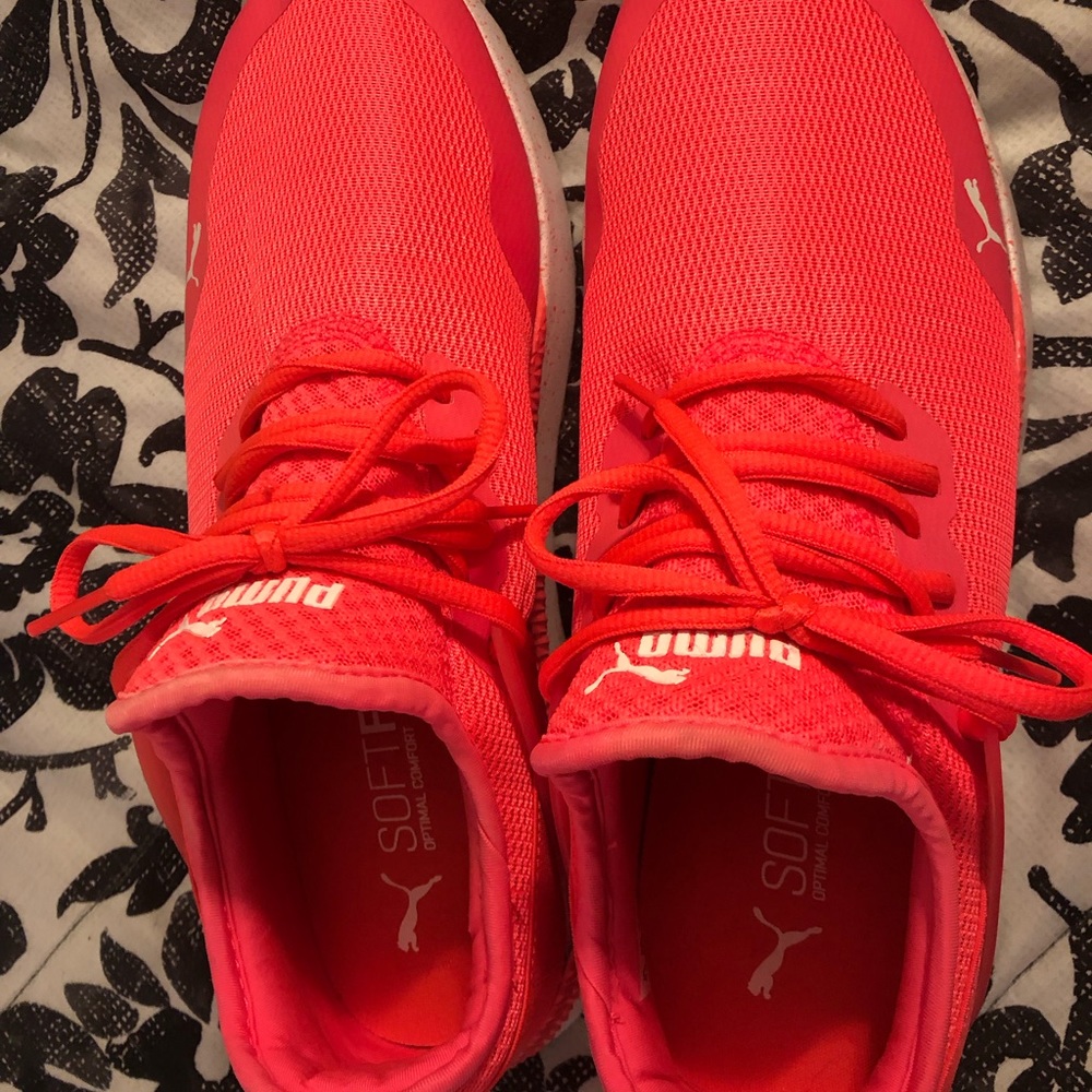 Puma - Picture 2 of 4